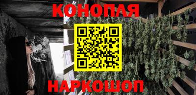 хмурый Будённовск